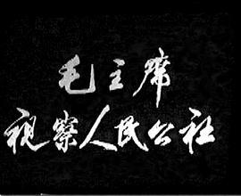 毛主席视察人民公社