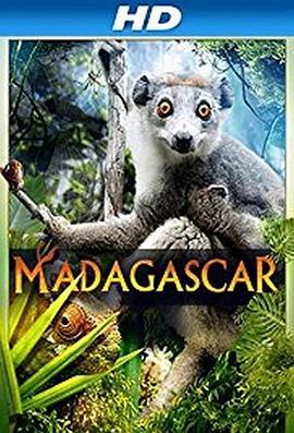 马达加斯加3D